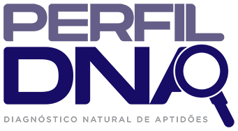 perfildna-ferramenta-de-avaliacao-de-profissionais-em-portugal-disc-rh-seconecta-helder-neves